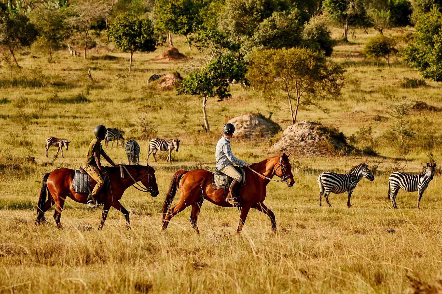 Horseback Safaris Image