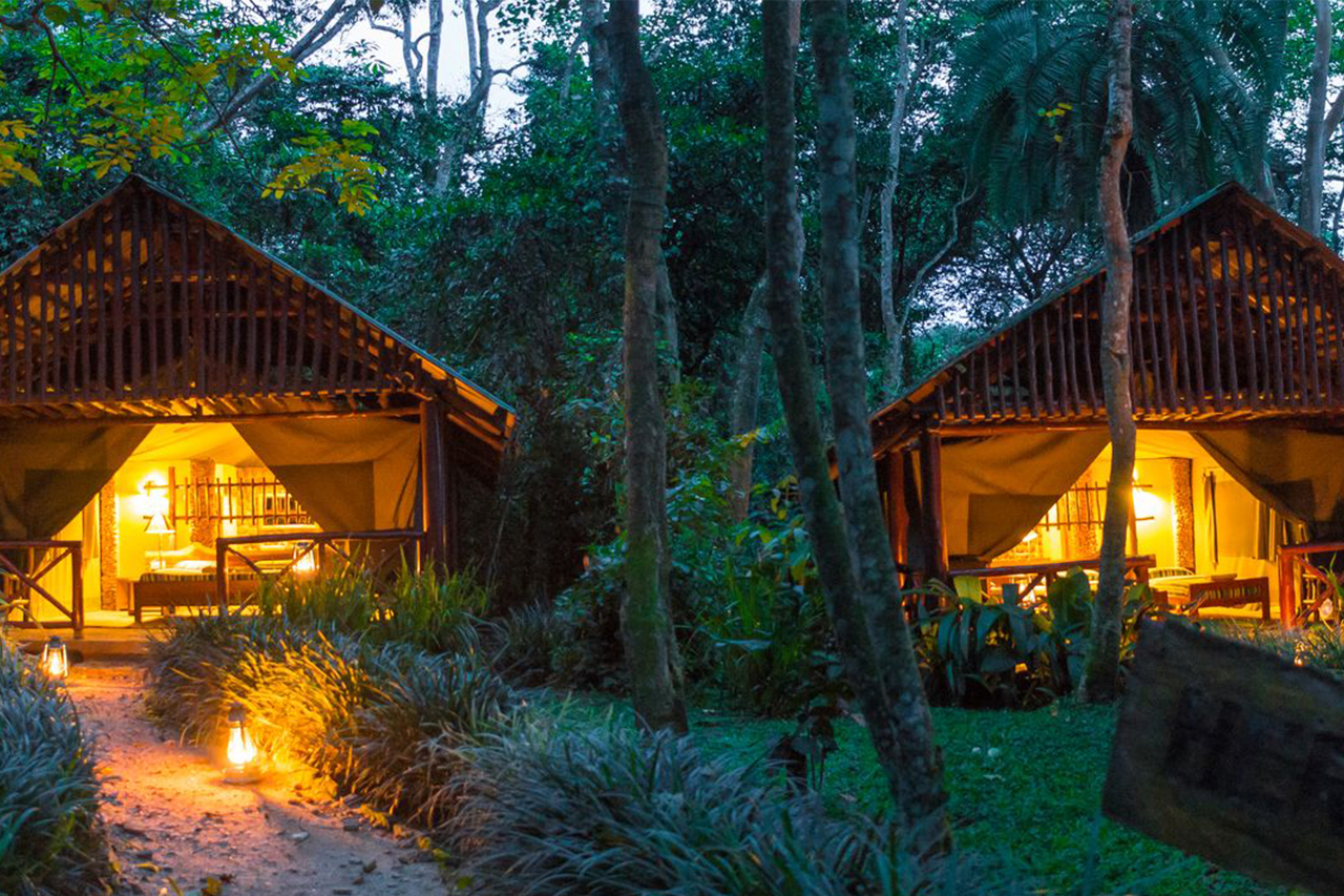 Kibaale Forest Camp Image