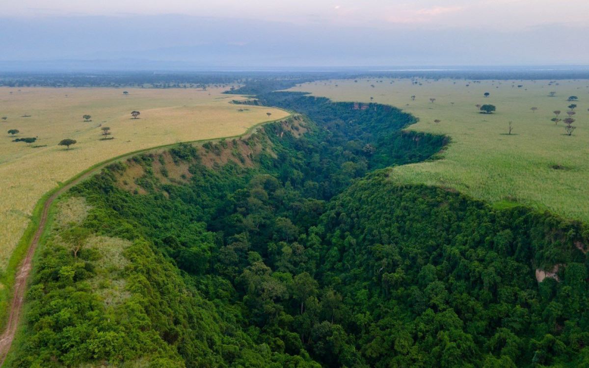 Kyambura Gorge Image